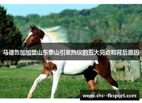 马德鲁加加盟山东泰山引发热议的五大亮点和背后原因
