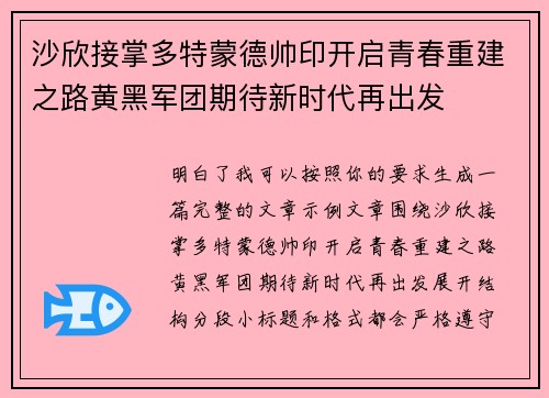 沙欣接掌多特蒙德帅印开启青春重建之路黄黑军团期待新时代再出发